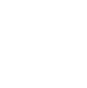 Christ College of Engineering Logo