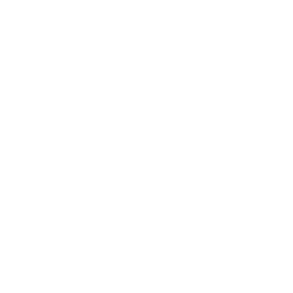 CODe Logo